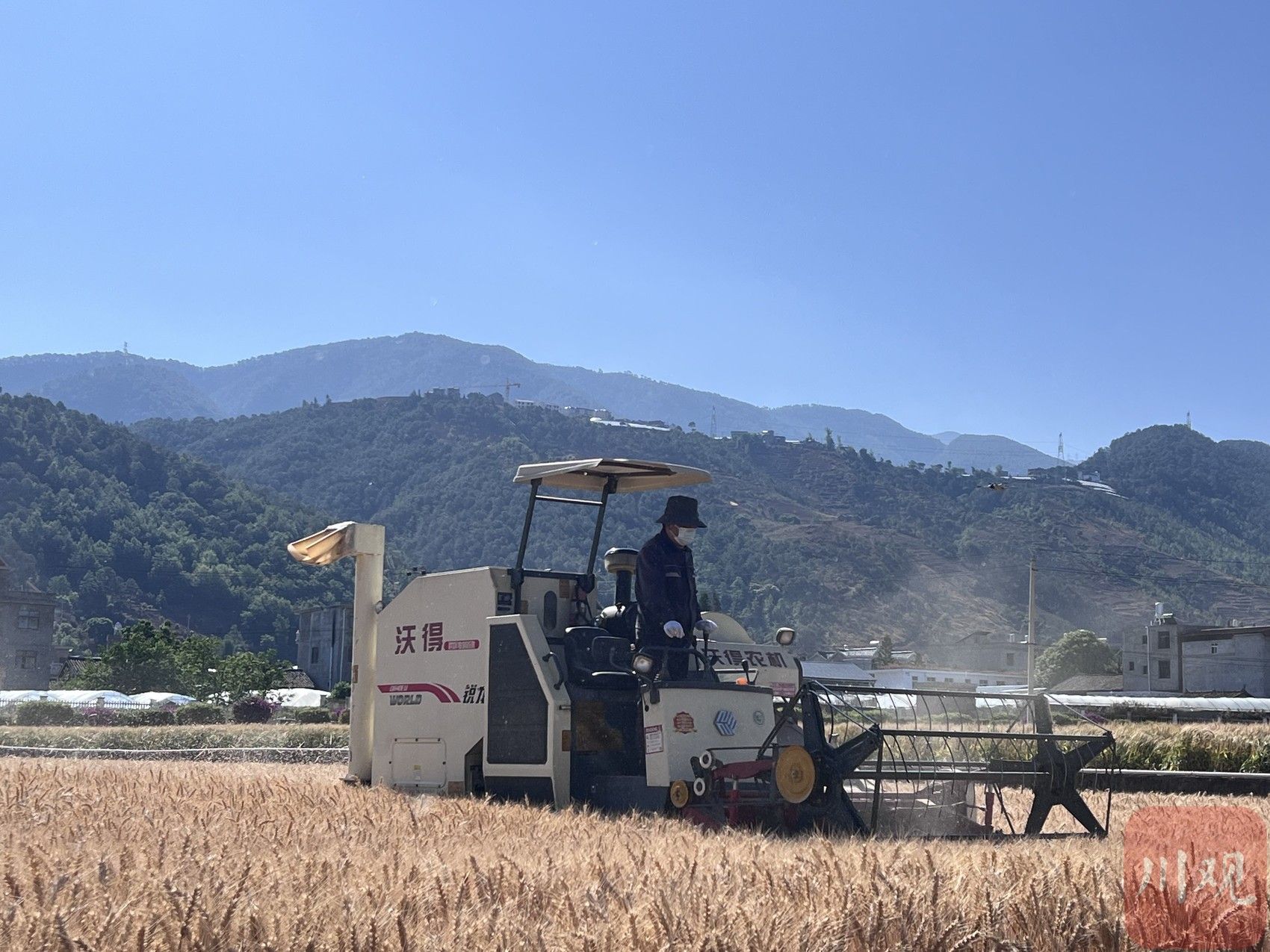 ok138cn太阳集团529