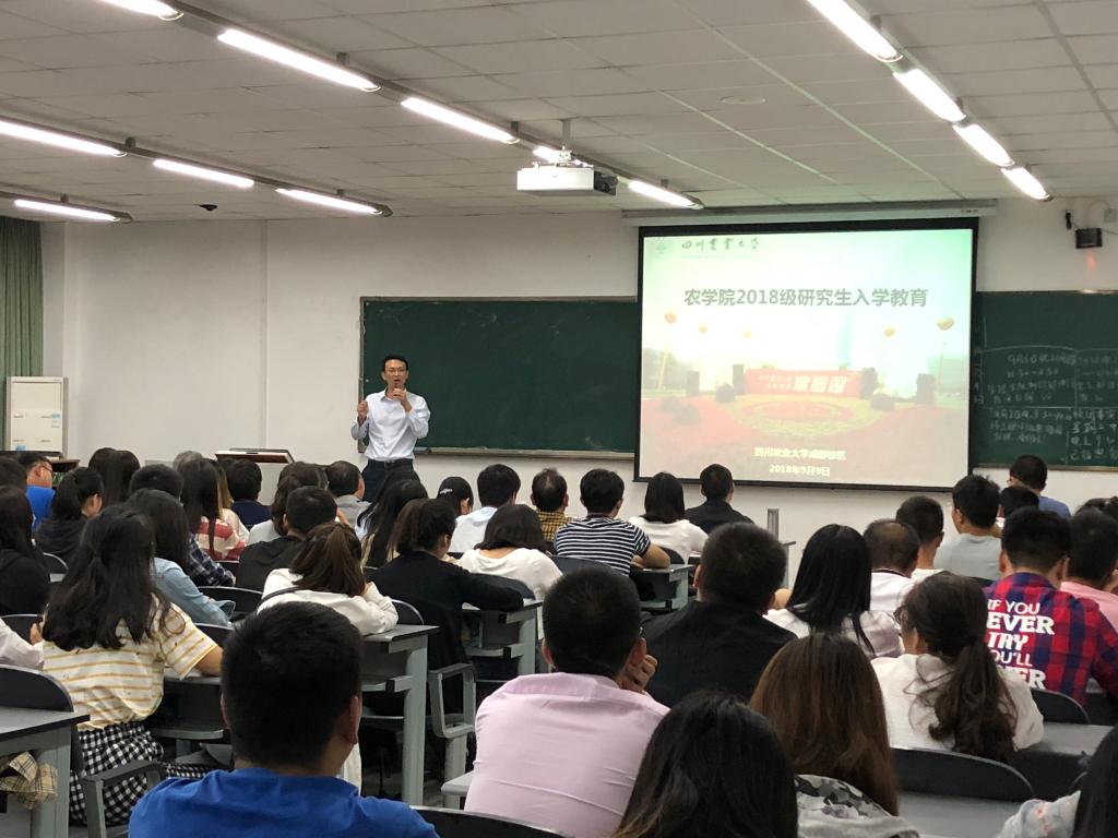 ok138cn太阳集团529