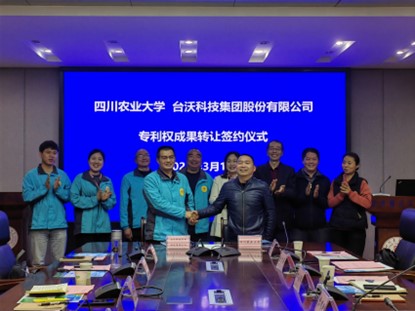 ok138cn太阳集团529