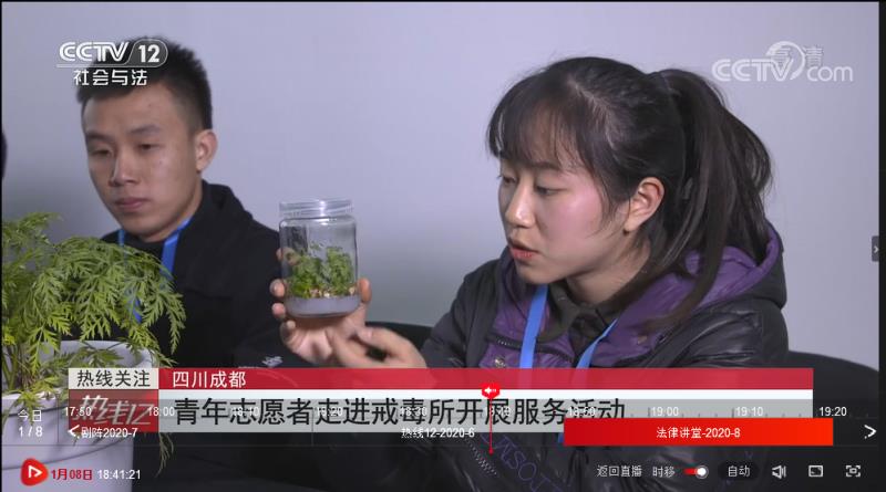 ok138cn太阳集团529