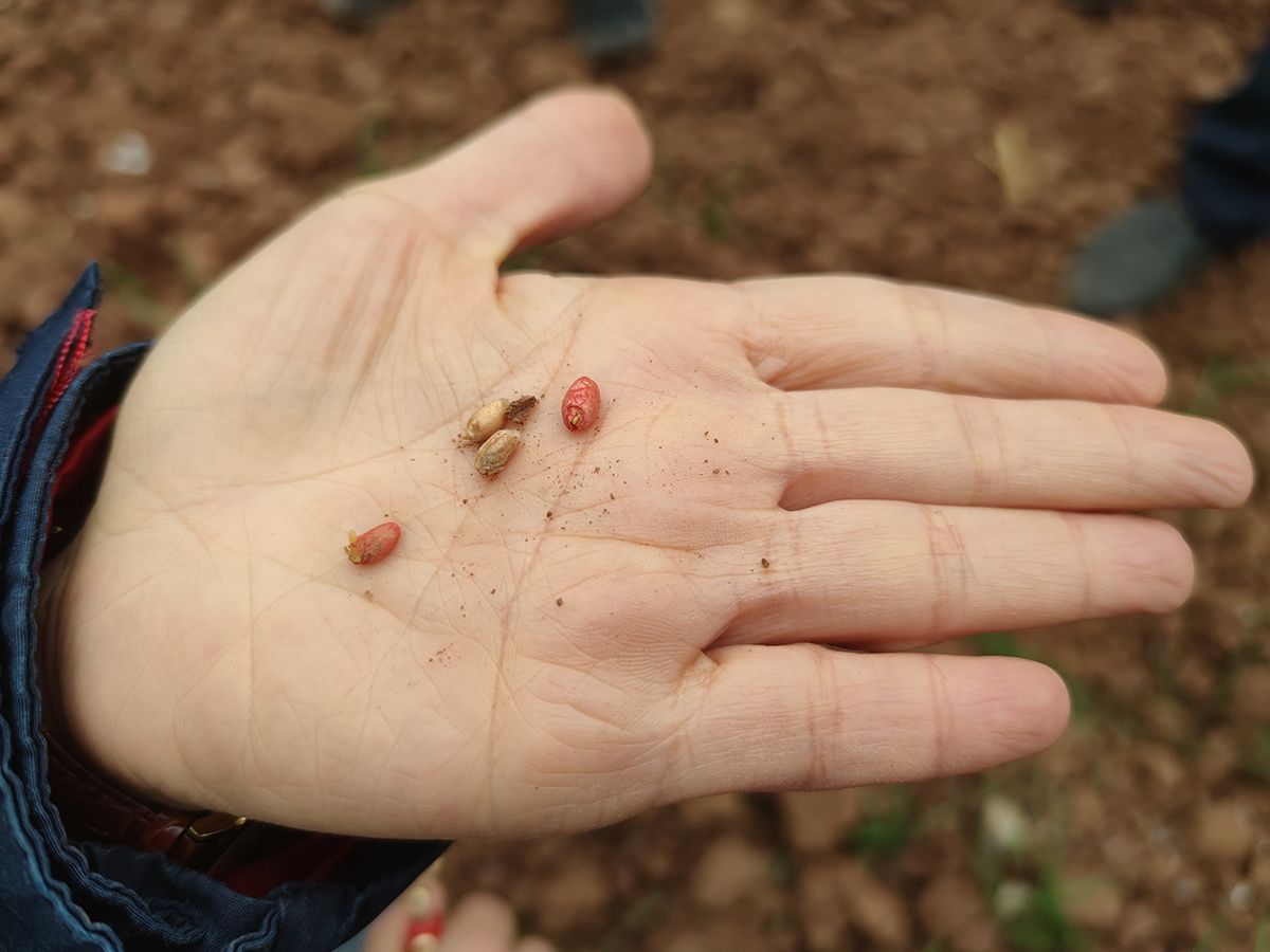 ok138cn太阳集团529