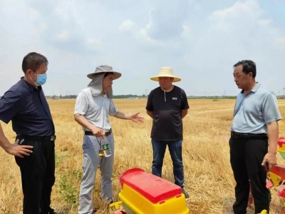 ok138cn太阳集团529