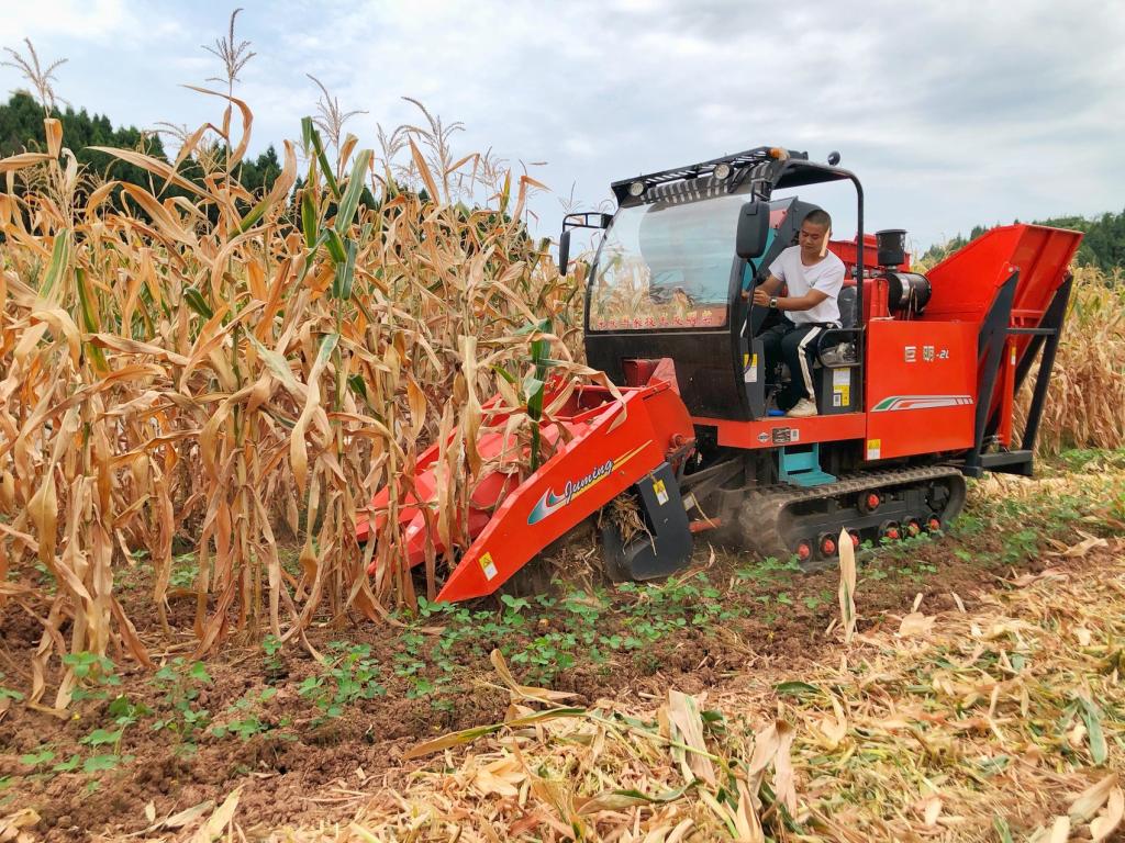 ok138cn太阳集团529