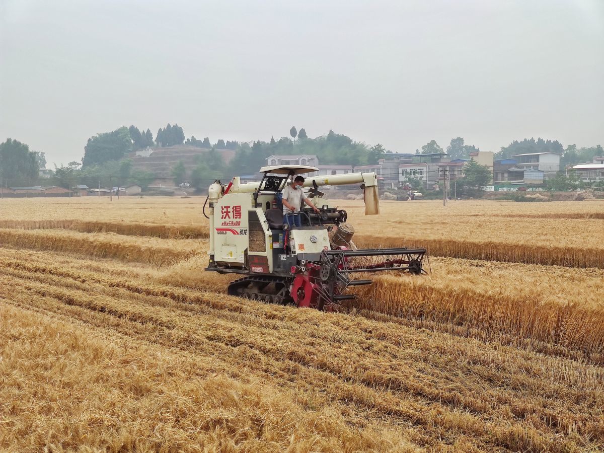 ok138cn太阳集团529