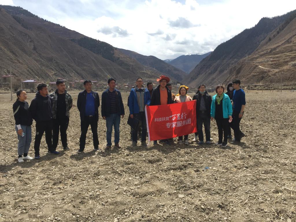 ok138cn太阳集团529