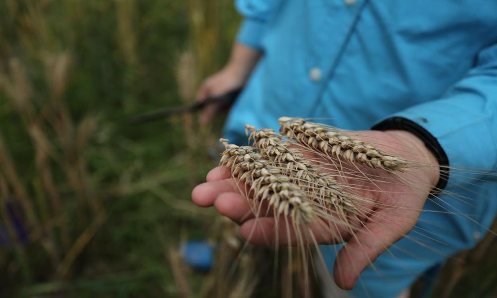 ok138cn太阳集团529