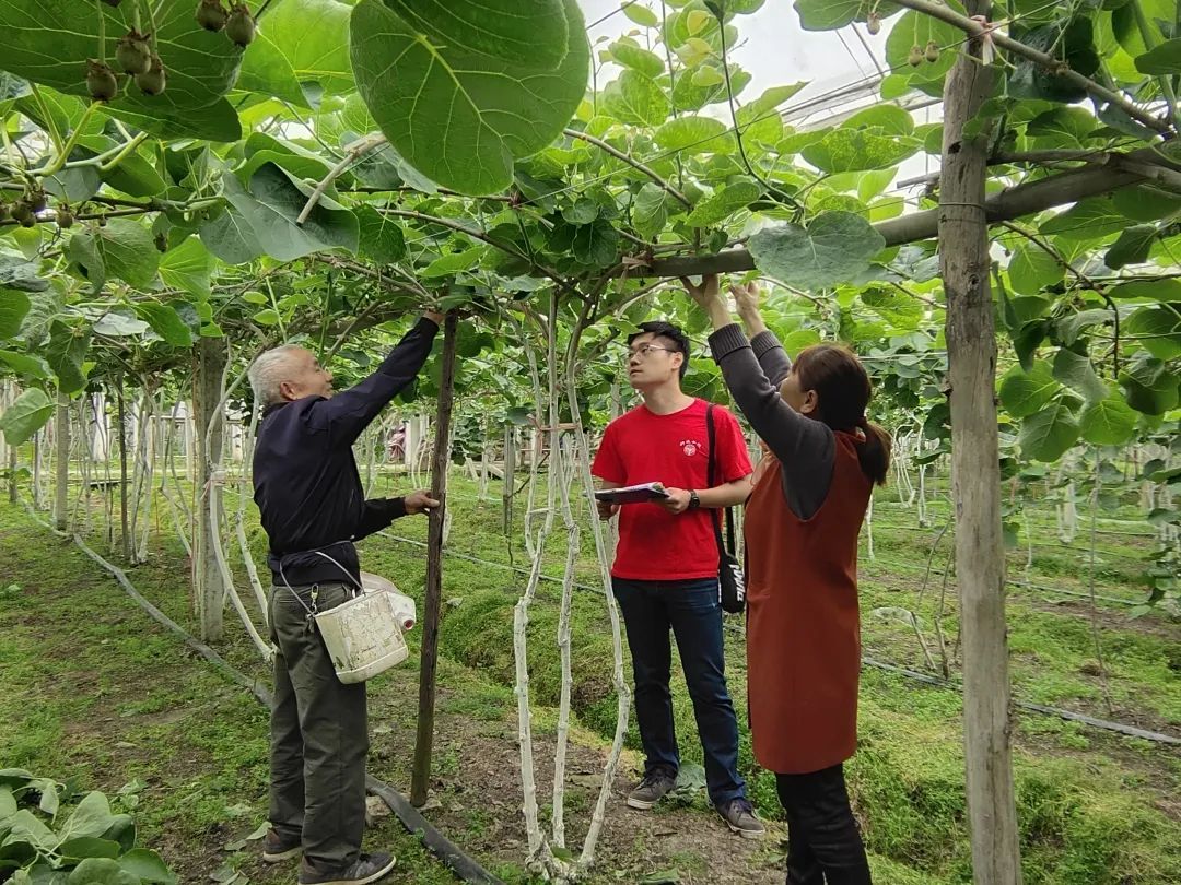 ok138cn太阳集团529