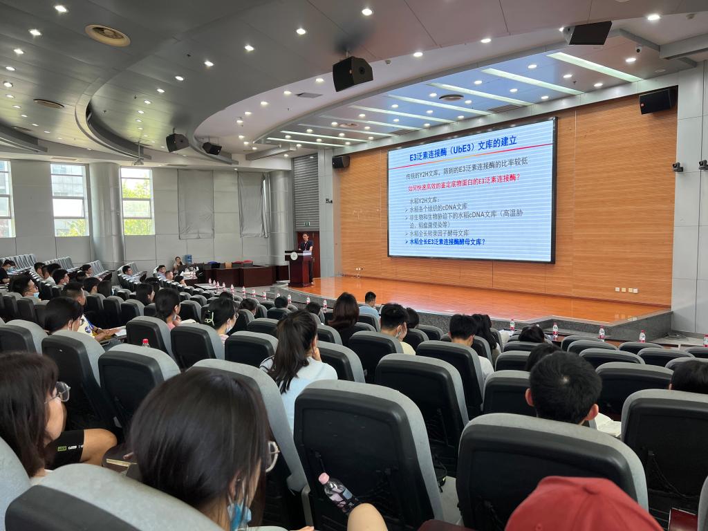 ok138cn太阳集团529