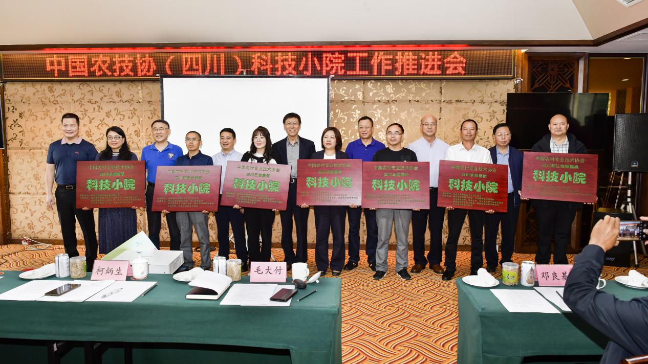 ok138cn太阳集团529