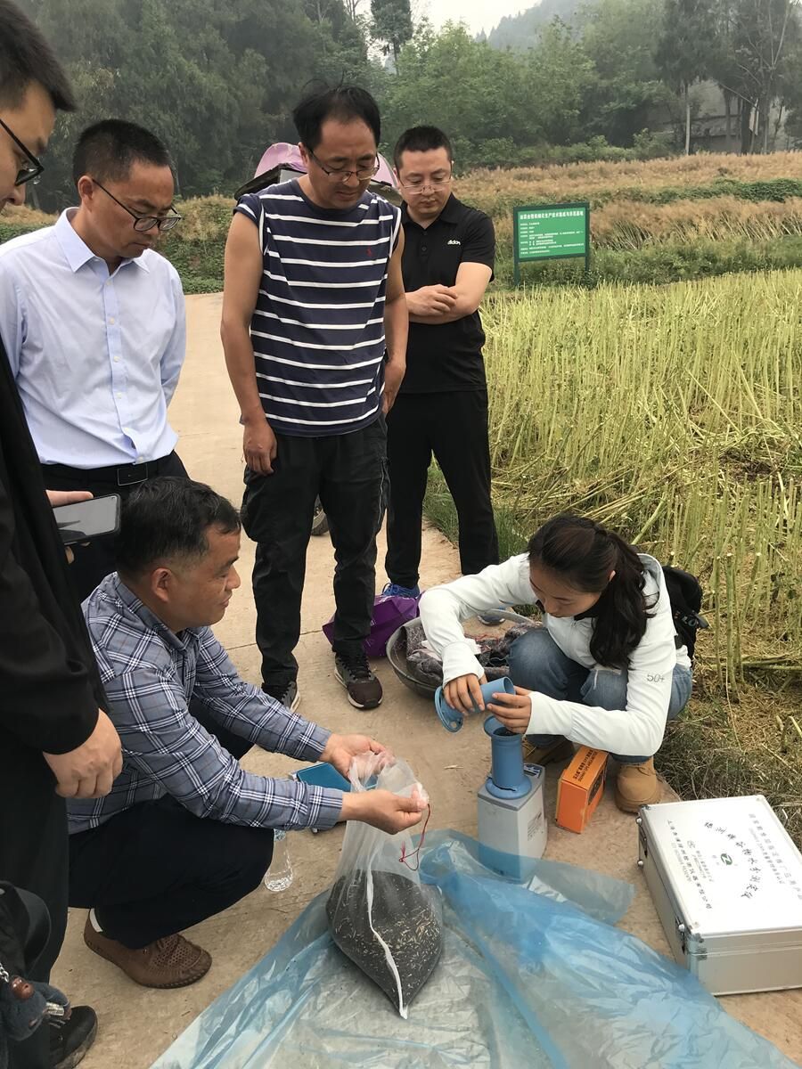 ok138cn太阳集团529