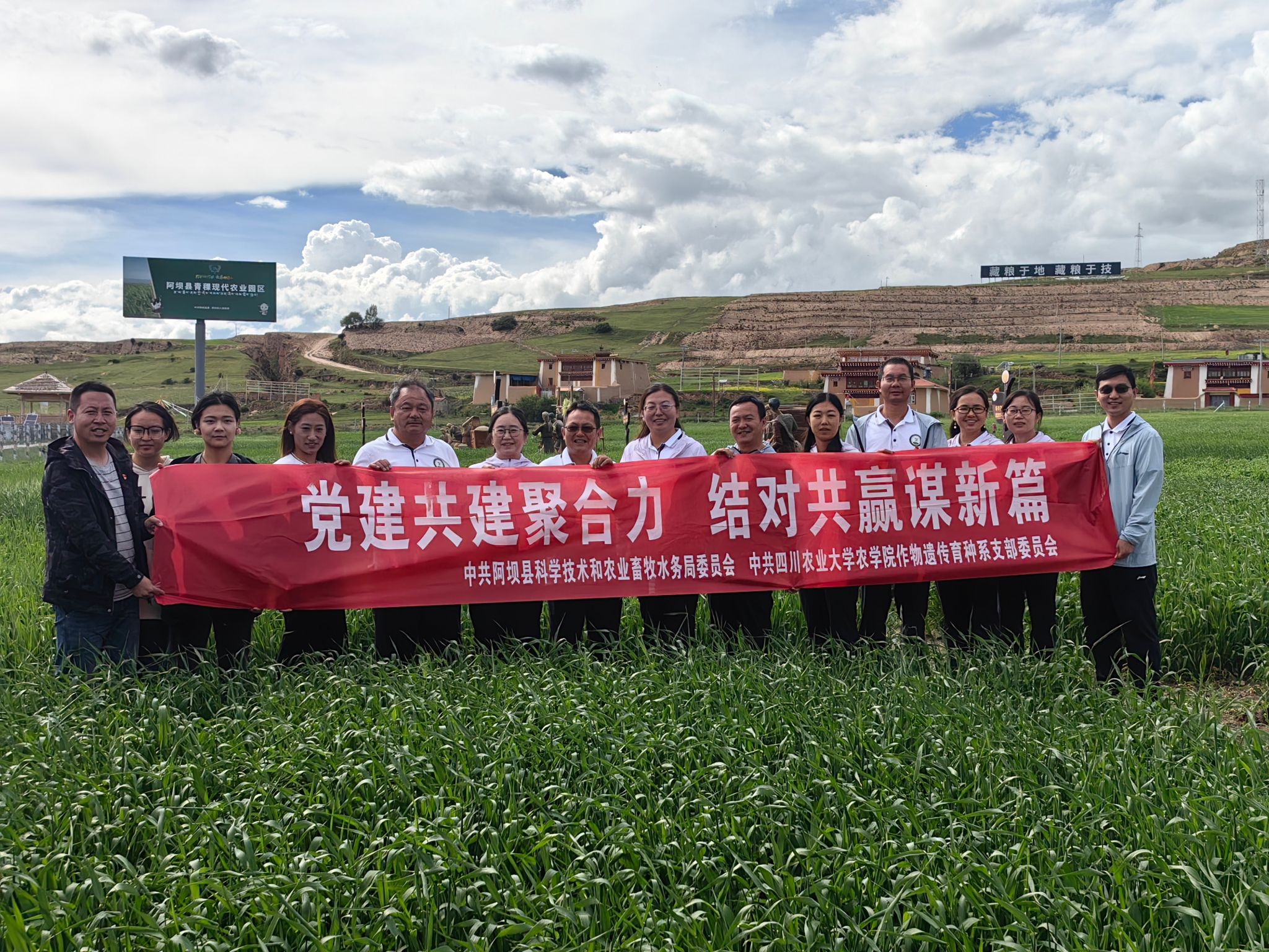 ok138cn太阳集团529