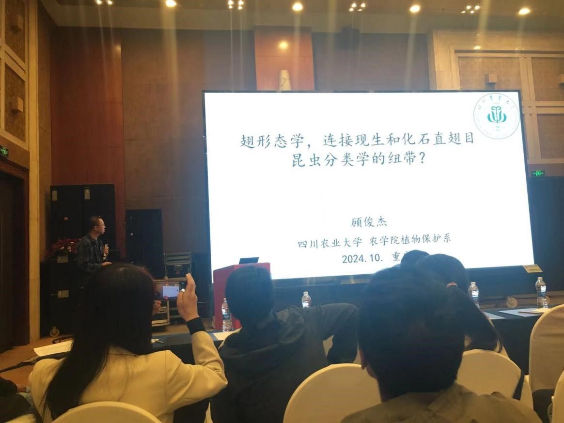 ok138cn太阳集团529