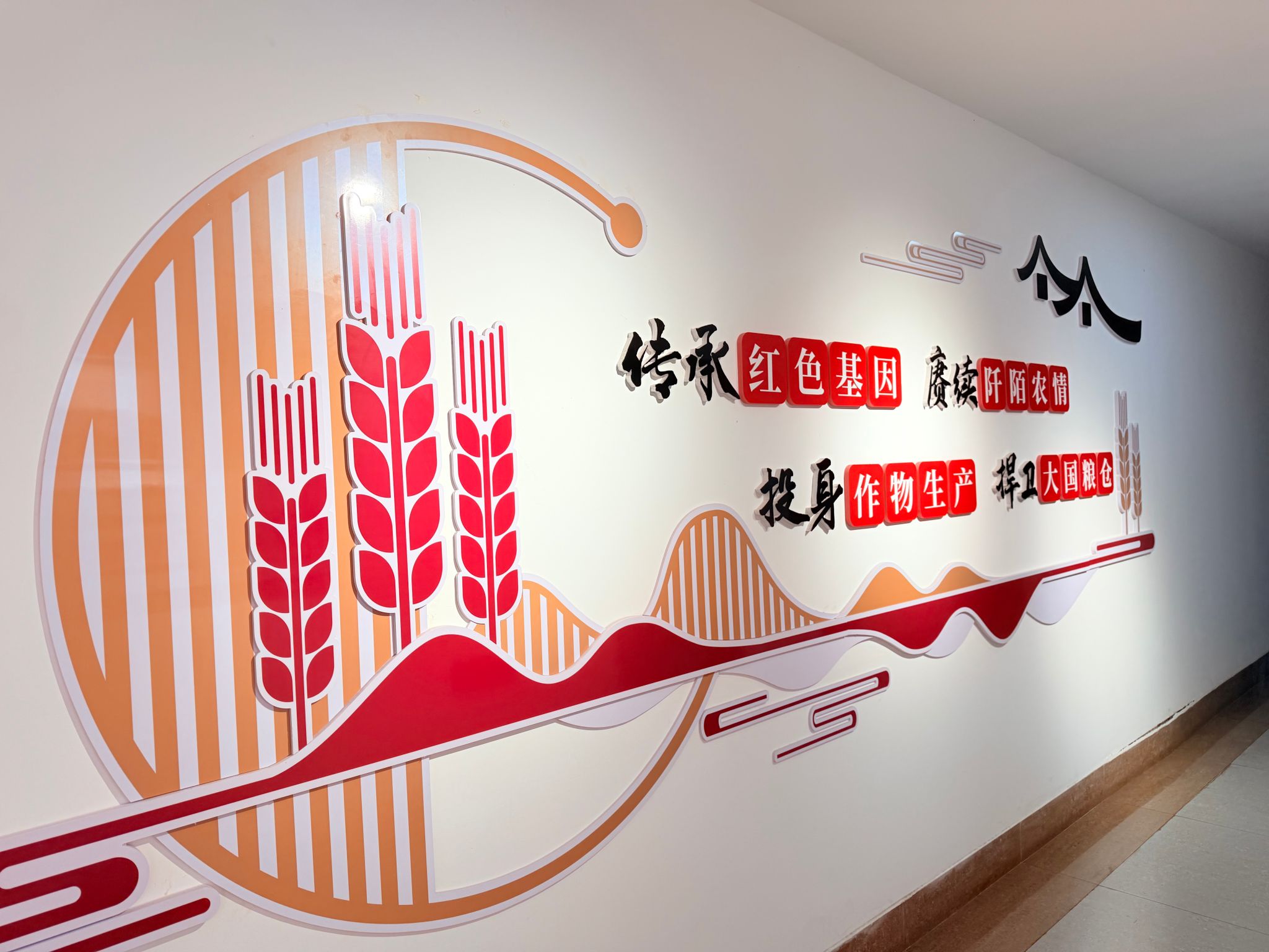 ok138cn太阳集团529