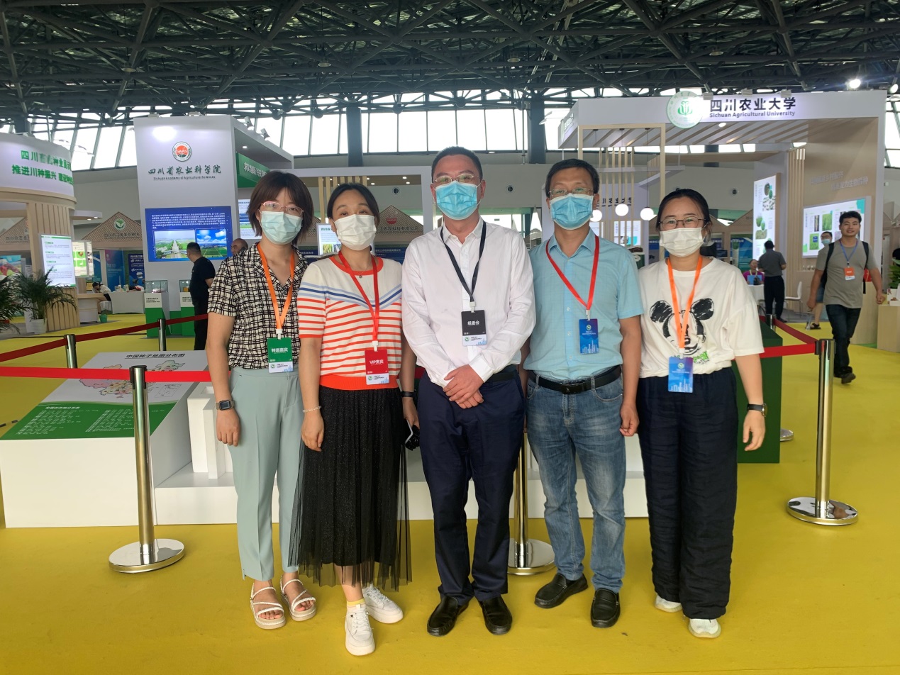 ok138cn太阳集团529