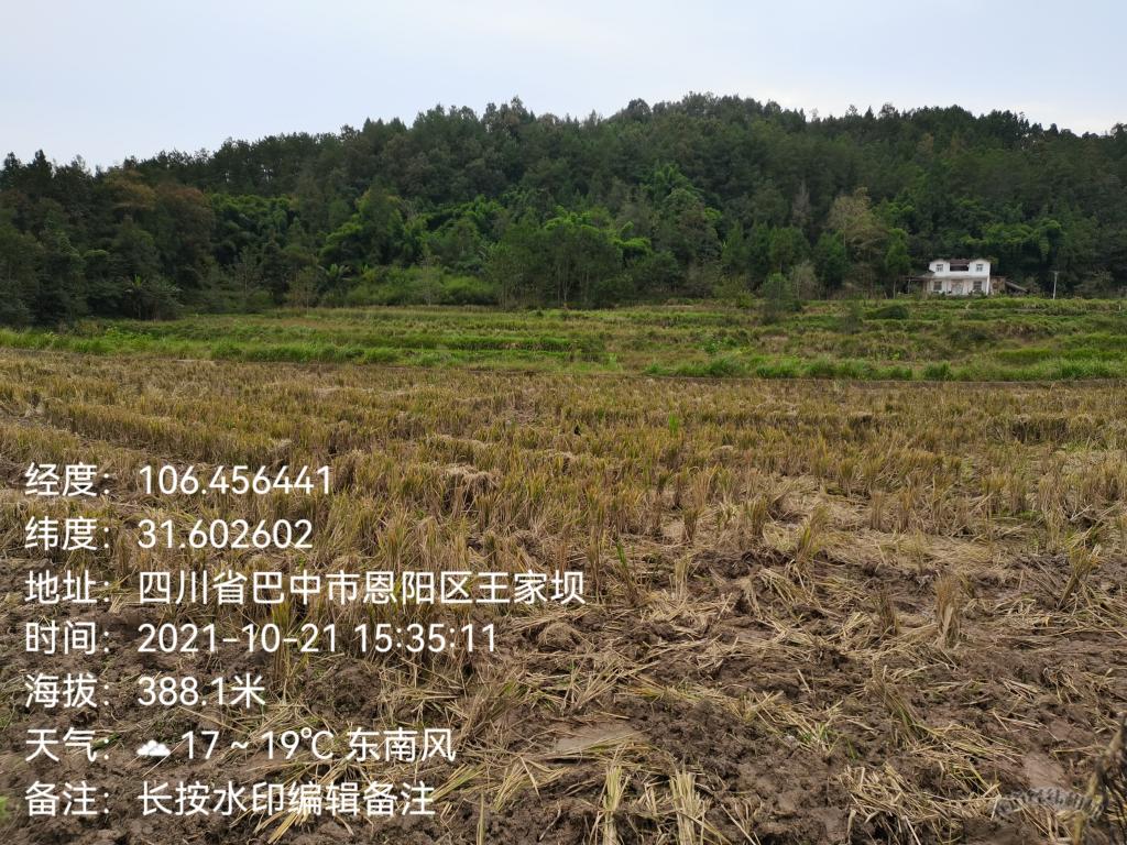 ok138cn太阳集团529