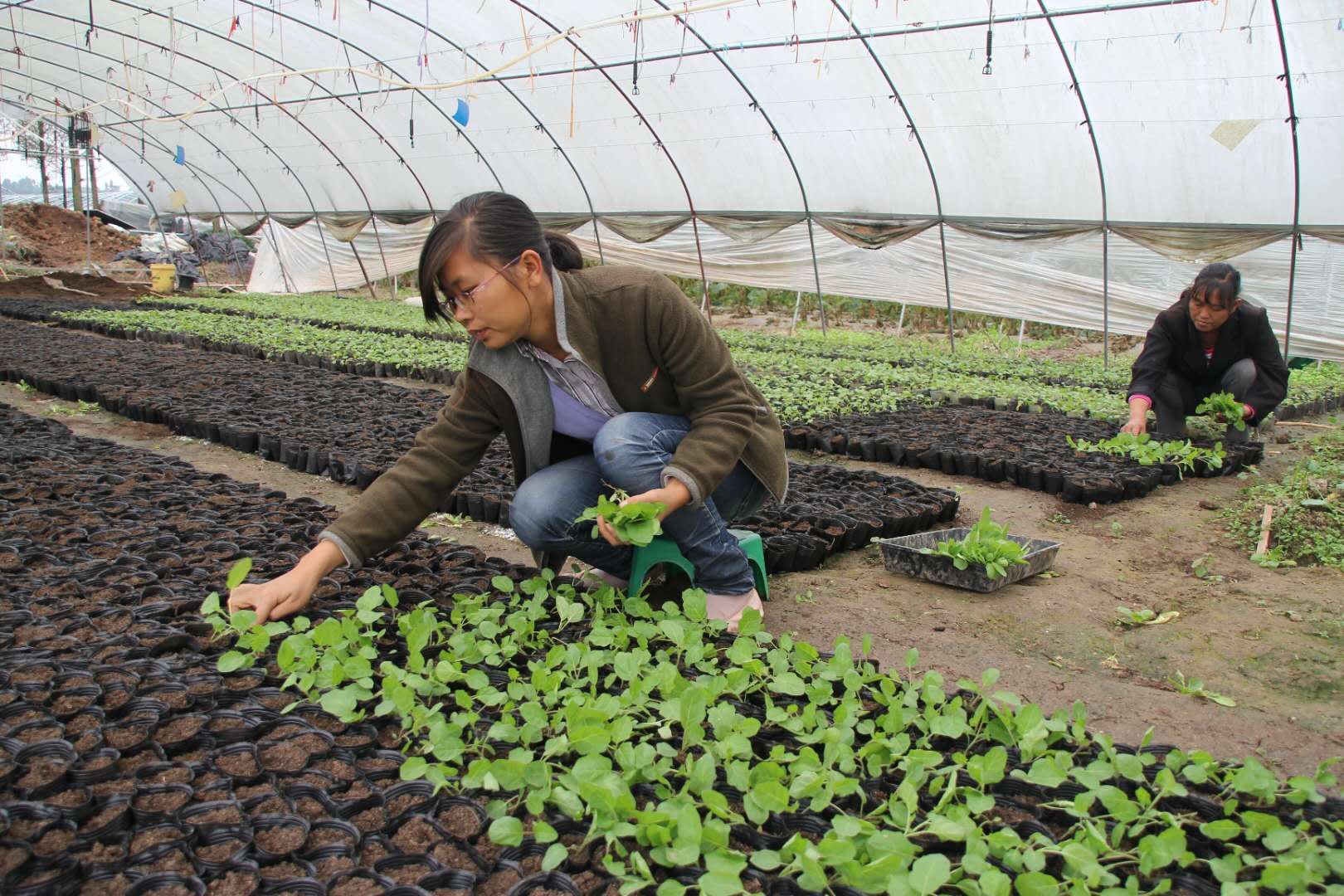 ok138cn太阳集团529