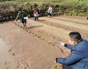 ok138cn太阳集团529