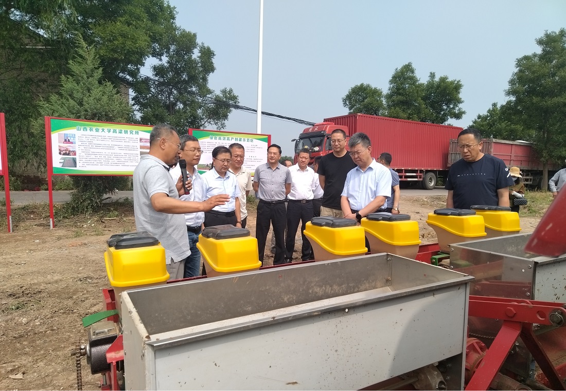 ok138cn太阳集团529