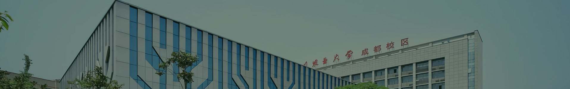 ok138cn太阳集团529