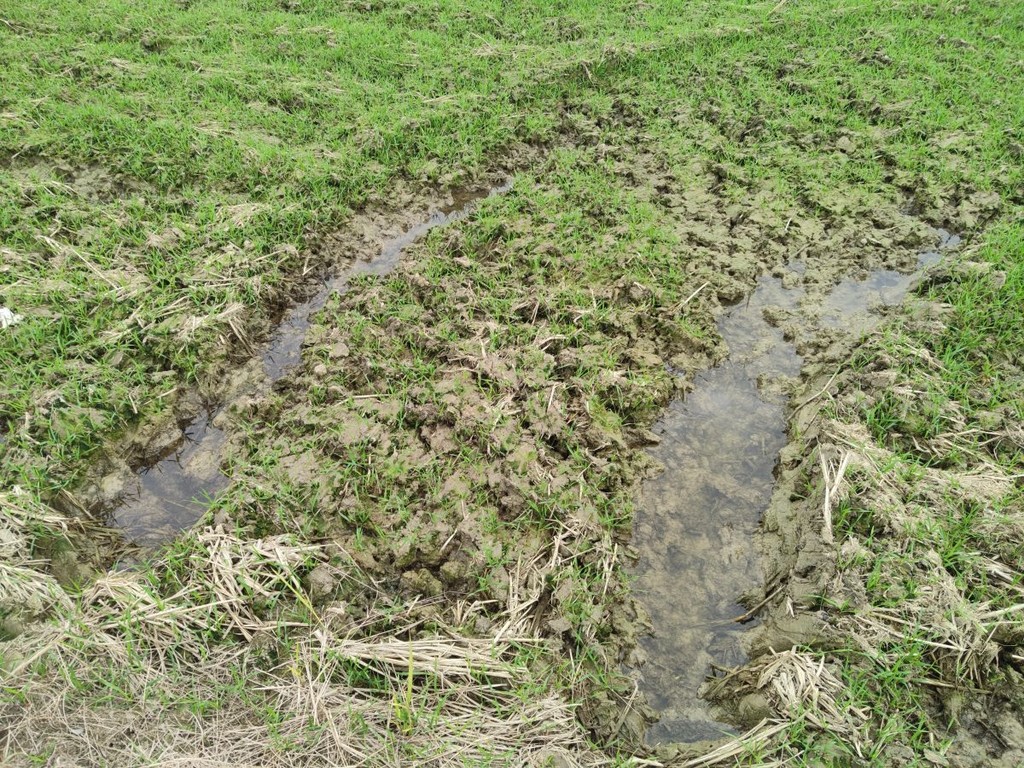 ok138cn太阳集团529